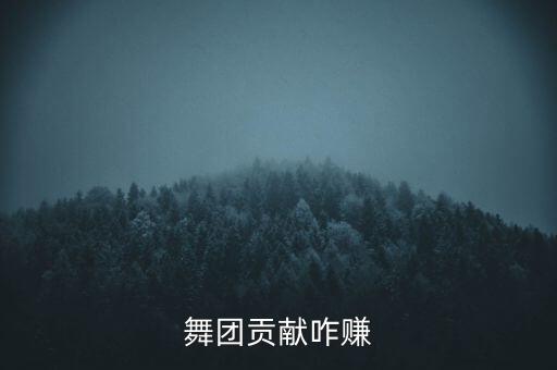 舞团贡献咋赚
