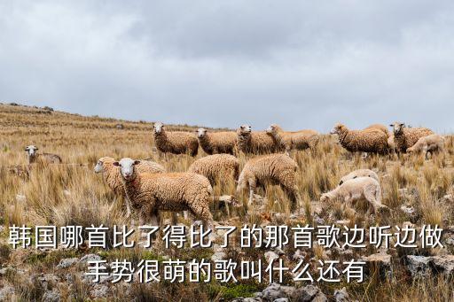 韩国哪首比了得比了的那首歌边听边做手势很萌的歌叫什么还有