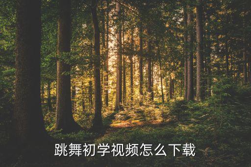 跳舞初学视频怎么下载