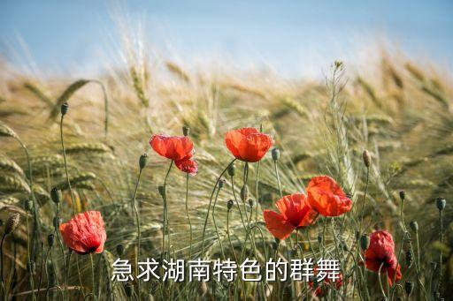 急求湖南特色的群舞