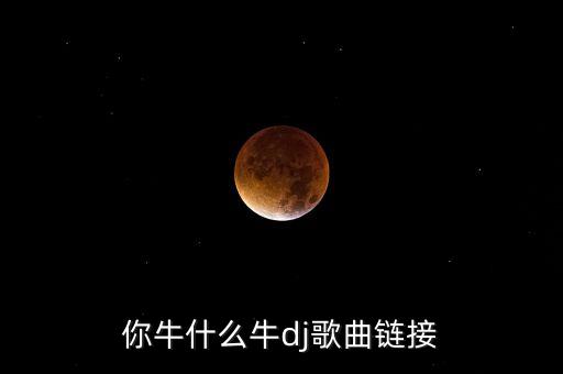 你牛什么牛dj歌曲链接