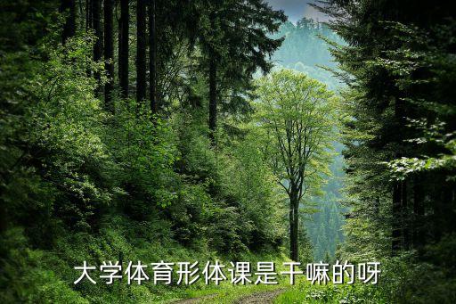 形体课主要是讲什么内容，大学体育形体课是干嘛的呀