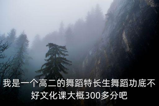 我是一个高二的舞蹈特长生舞蹈功底不好文化课大概300多分吧