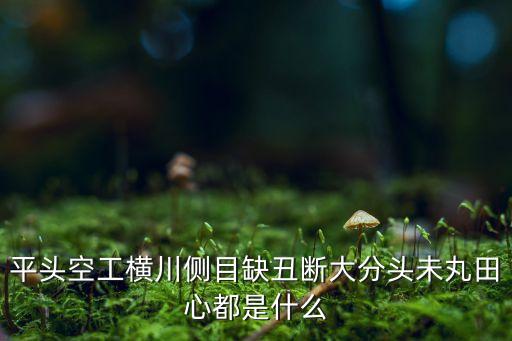 平头空工横川侧目缺丑断大分头未丸田心都是什么