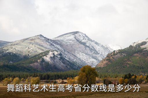 舞蹈生艺考分数线，近几年的拉丁舞艺考分数线是多少