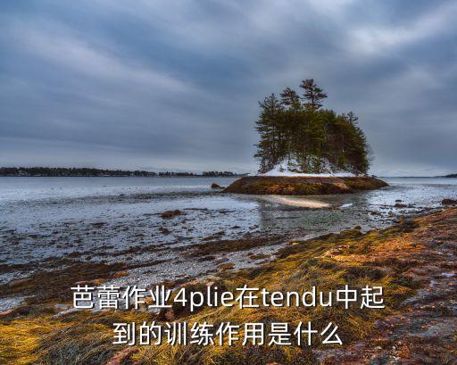 芭蕾作业4plie在tendu中起到的训练作用是什么