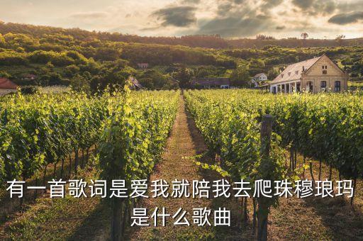 有一首歌词是爱我就陪我去爬珠穆琅玛是什么歌曲