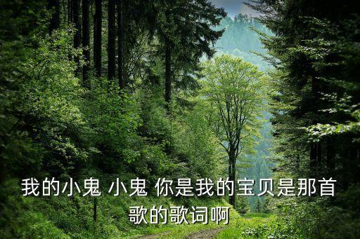 我的小鬼 小鬼 你是我的宝贝是那首歌的歌词啊