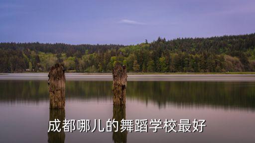 成都哪儿的舞蹈学校最好