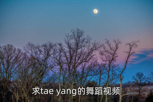 求tae yang的舞蹈视频