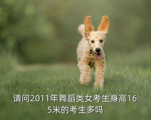 舞蹈艺考生身高比例，请问2011年舞蹈类女考生身高165米的考生多吗