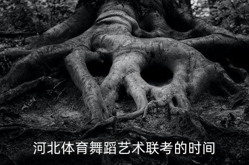 2023年舞蹈艺考时间，河北体育舞蹈艺术联考的时间