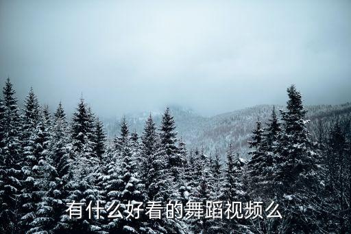 有什么好看的舞蹈视频么