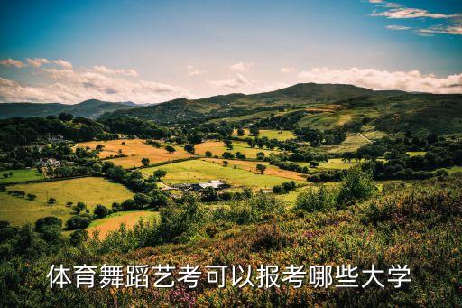 体育舞蹈艺考可以报考哪些大学