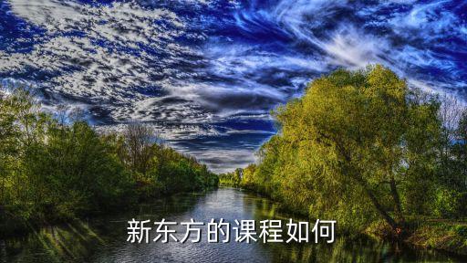 新东方的课程如何