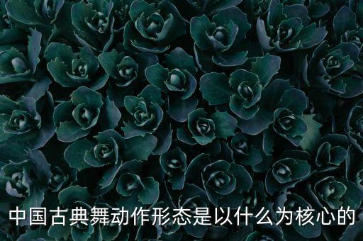 中国古典舞动作形态是以什么为核心的