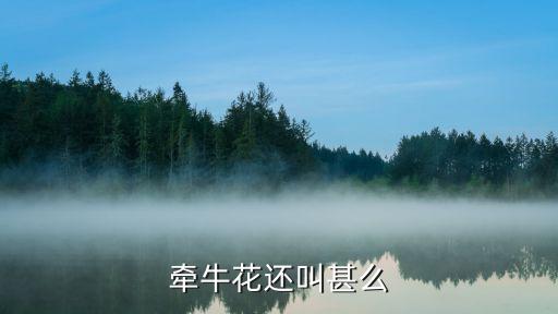 牵牛花还叫甚么