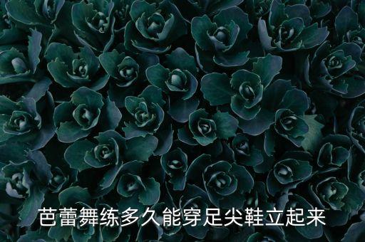 芭蕾舞练多久能穿足尖鞋立起来