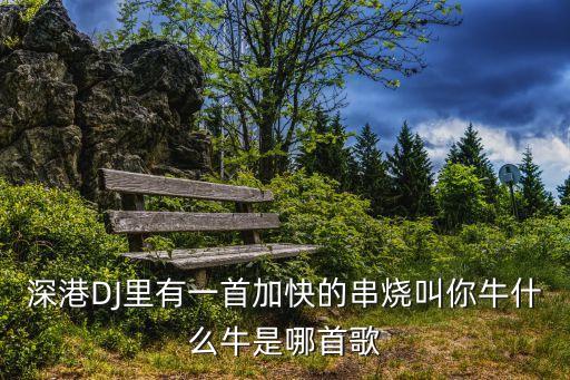 深港DJ里有一首加快的串烧叫你牛什么牛是哪首歌