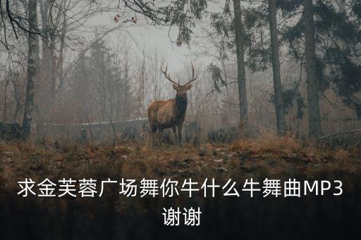 求金芙蓉广场舞你牛什么牛舞曲MP3 谢谢