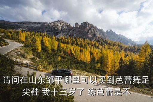 邹平哪里卖舞蹈连裤袜，请问在山东邹平哪里可以买到芭蕾舞足尖鞋 我十三岁了 练芭蕾是不