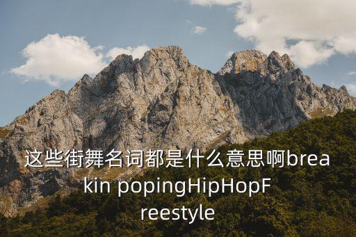 这些街舞名词都是什么意思啊breakin popingHipHopFreestyle