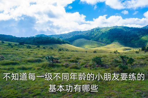 不知道每一级不同年龄的小朋友要练的基本功有哪些
