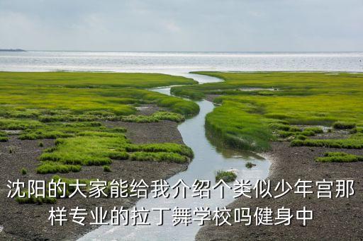 沈阳的大家能给我介绍个类似少年宫那样专业的拉丁舞学校吗健身中