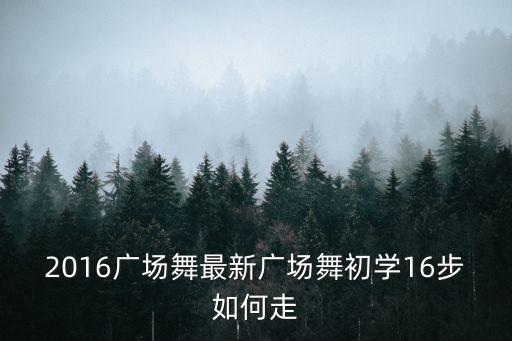 2016广场舞最新广场舞初学16步如何走