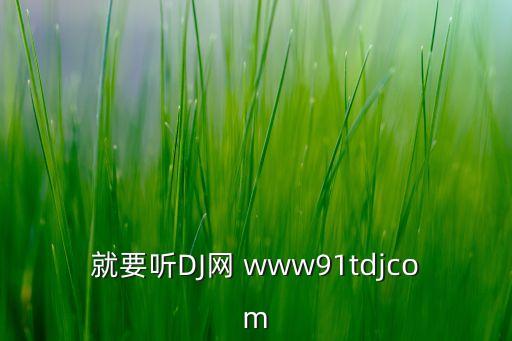 就要听DJ网 www91tdjcom