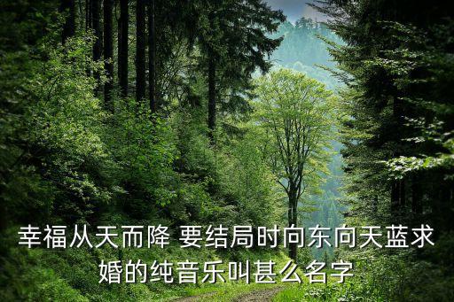 幸福从天而降 要结局时向东向天蓝求婚的纯音乐叫甚么名字