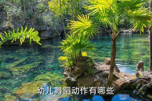小朋友舞蹈表演视频教程，谁有教导幼儿园小朋友跳舞的视频教程什么的