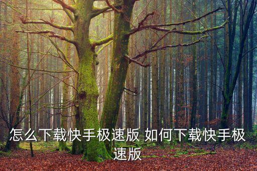 怎么下载快手极速版 如何下载快手极速版