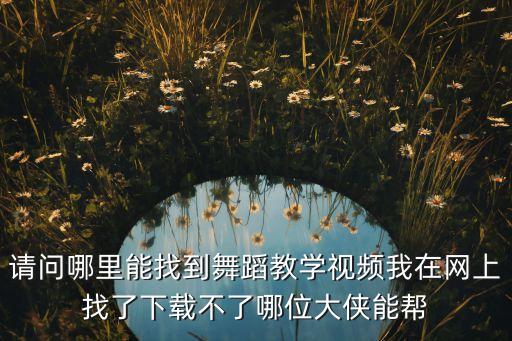 请问哪里能找到舞蹈教学视频我在网上找了下载不了哪位大侠能帮