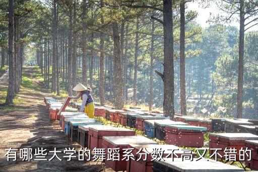 有哪些大学的舞蹈系分数不高又不错的