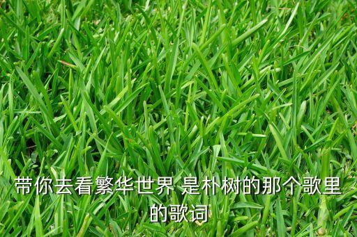 带你去看繁华世界 是朴树的那个歌里的歌词