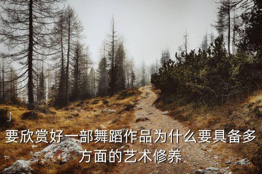 要欣赏好一部舞蹈作品为什么要具备多方面的艺术修养