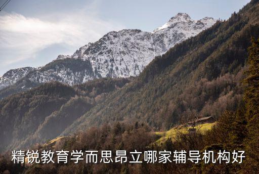 精锐教育学而思昂立哪家辅导机构好