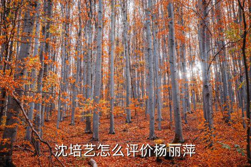 沈培艺怎么评价杨丽萍