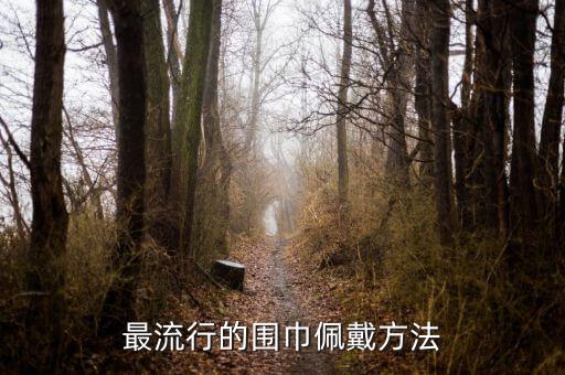 最流行的围巾佩戴方法