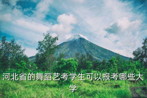 河北省的舞蹈艺考学生可以报考哪些大学