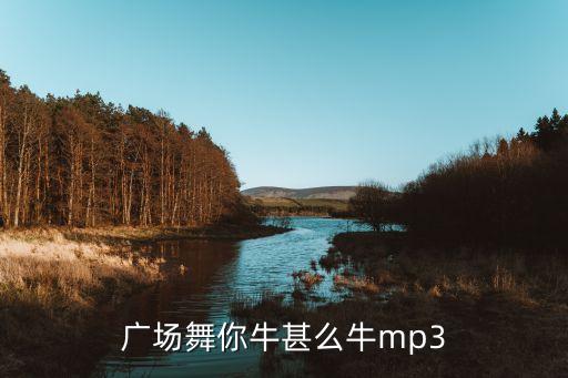 广场舞你牛甚么牛mp3