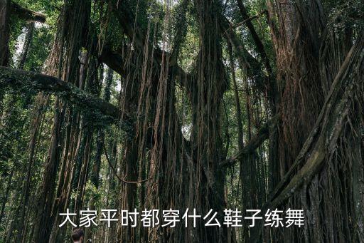 大家平时都穿什么鞋子练舞