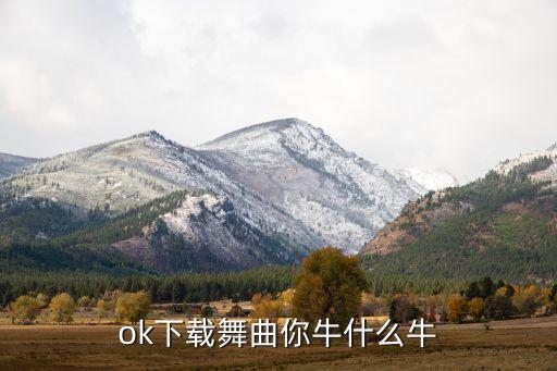 ok下载舞曲你牛什么牛
