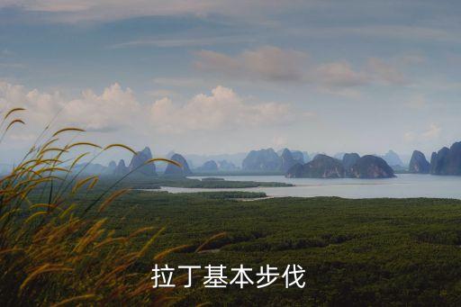 拉丁基本步伐