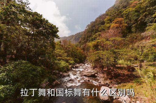 拉丁舞和国标舞有什么区别吗
