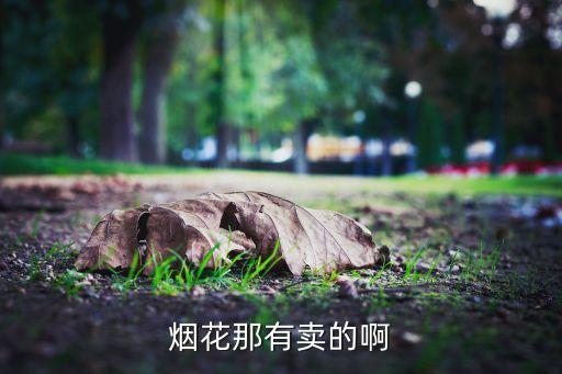 烟花那有卖的啊