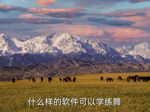 下载什么可以学舞蹈，什么样的软件可以学练舞