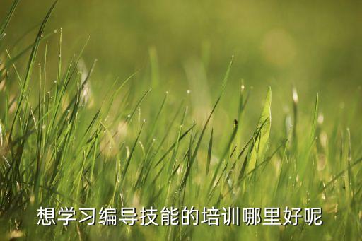 想学习编导技能的培训哪里好呢