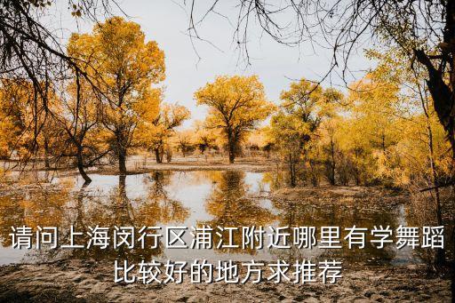 附近教跳舞的地方有哪些呢，寒假武昌徐东路附近有什么学跳舞的地方啊